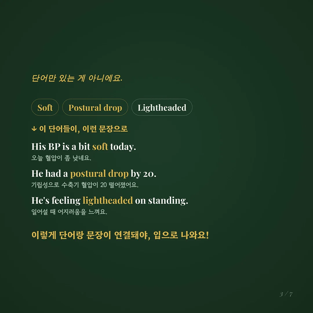 자몽 허니 블랙티 티백 3