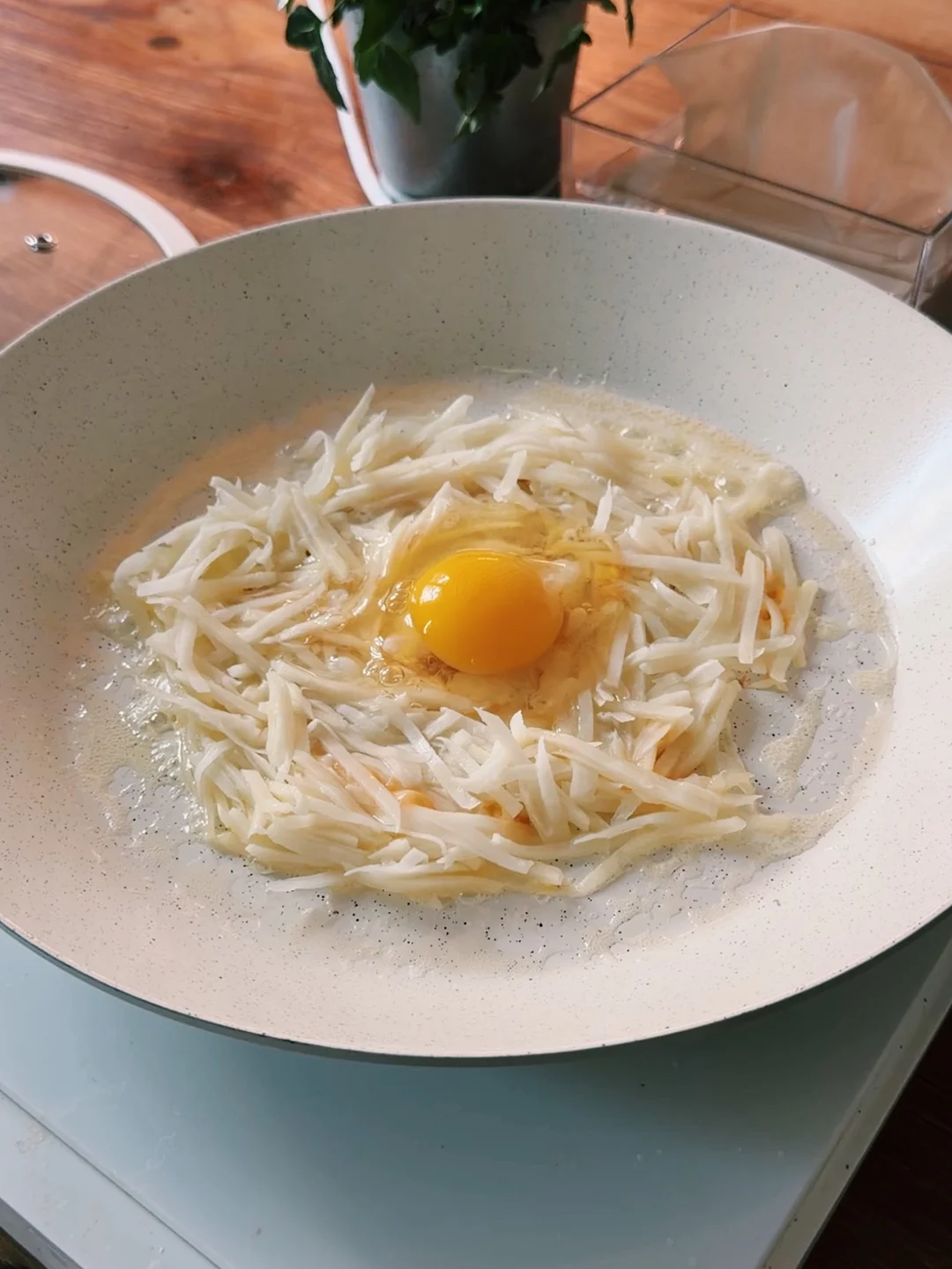 조개 집게핀 8