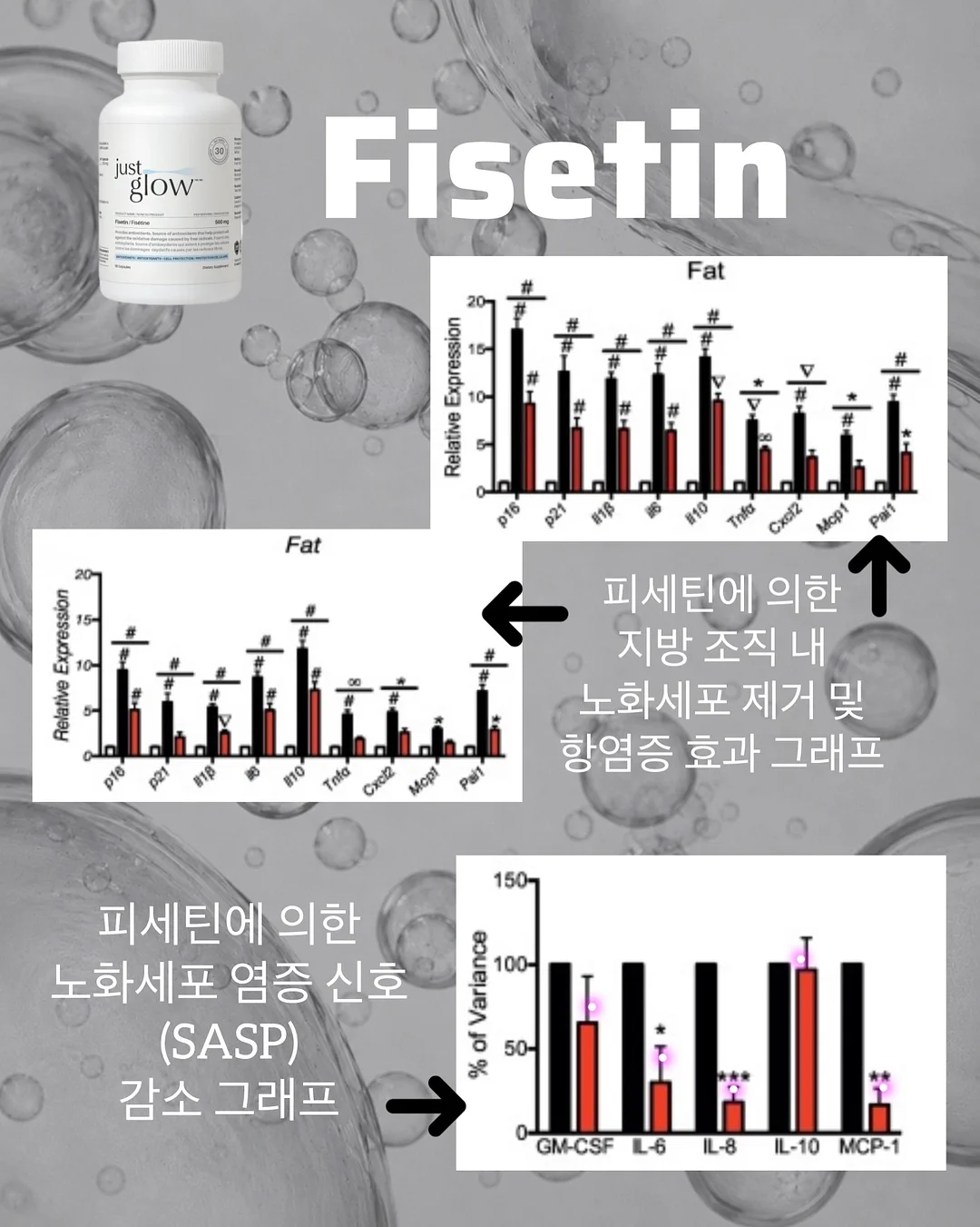 키즈 헤어컬러 염색약 7