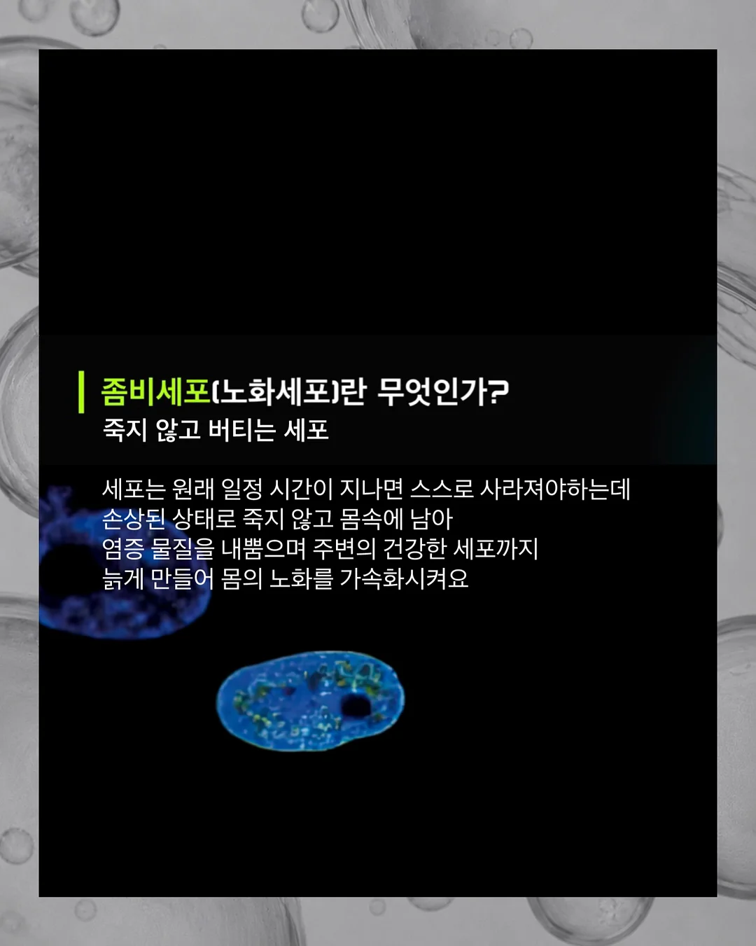 키즈 헤어컬러 염색약 9