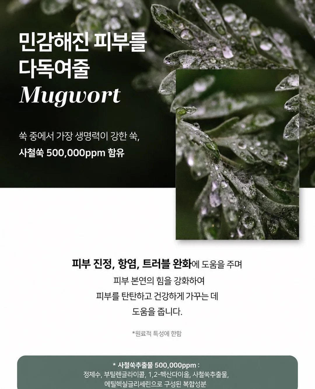 창틀 먼지 청소세 13