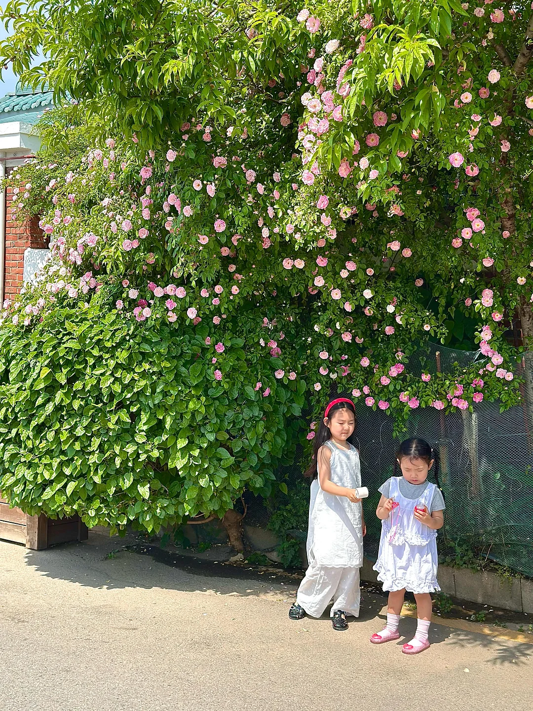 데코아르 무선 에어건 5