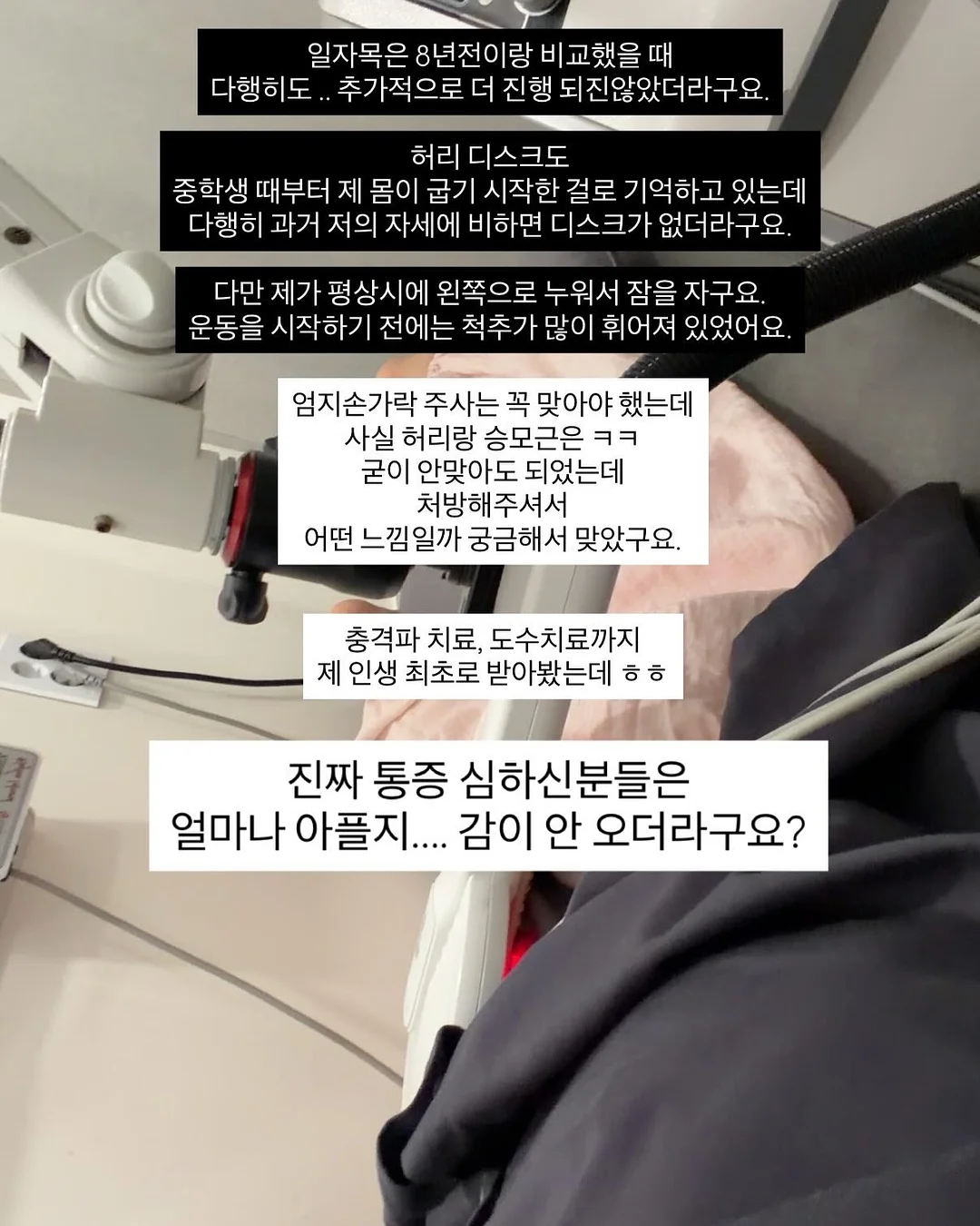 신상 12