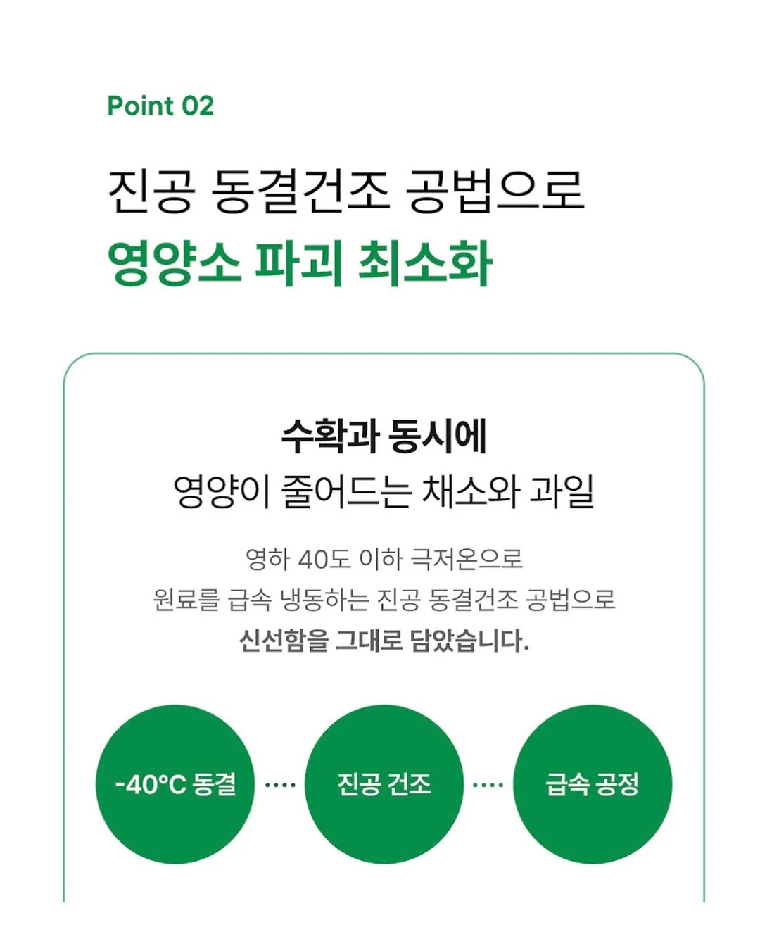 팩트 12