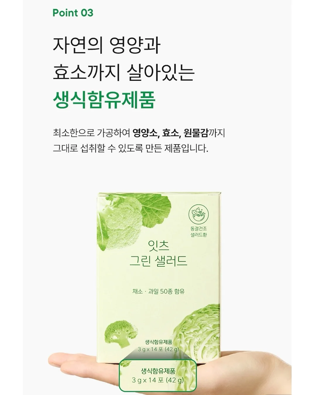 팩트 14