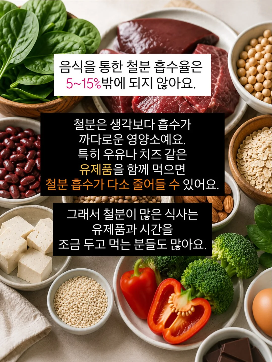 스피드 캣 고 신발 3