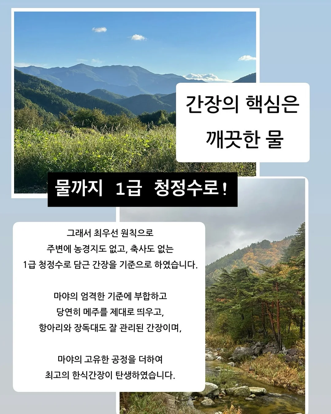무화과크림치즈빵, 치아바타, 초코바게트, 콘치즈소금빵 9