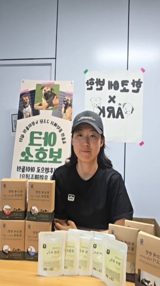 초당옥수수 옥수수양갱