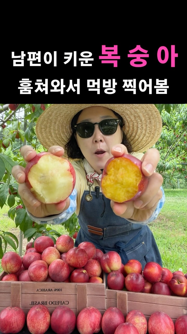 오키나와 소금 마카다미아 초콜릿