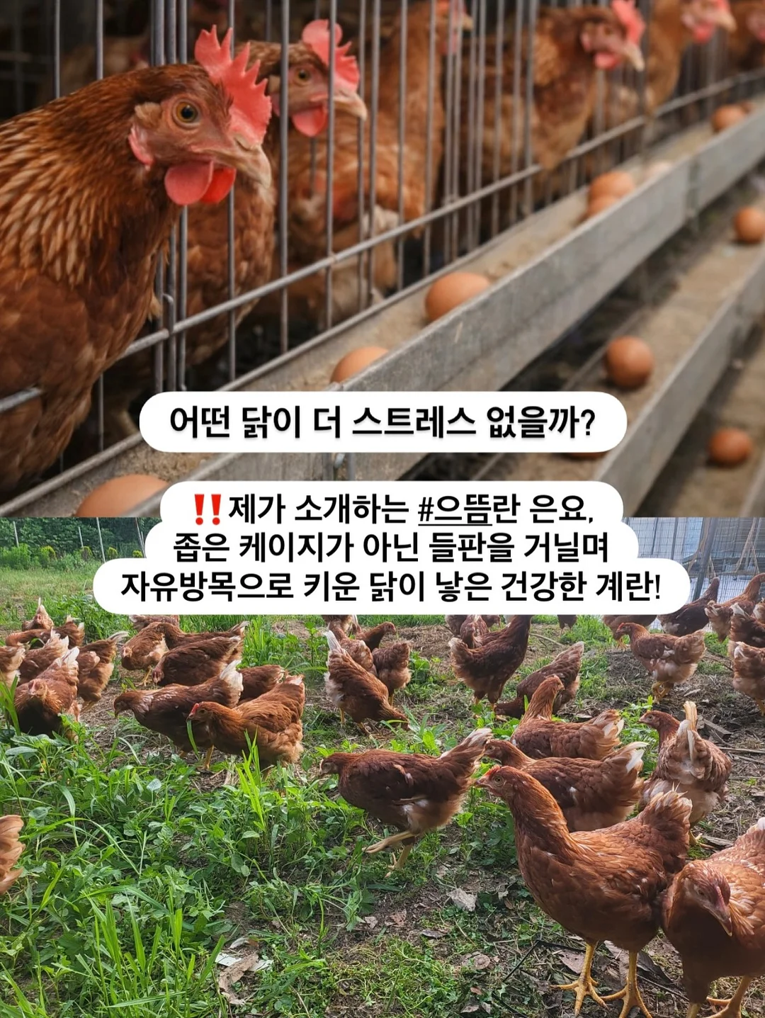 쿨립 기저귀가방 7