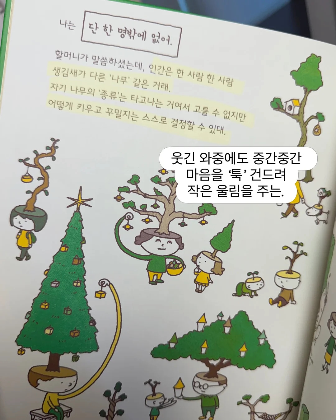 실리스카 쉘 밤 12
