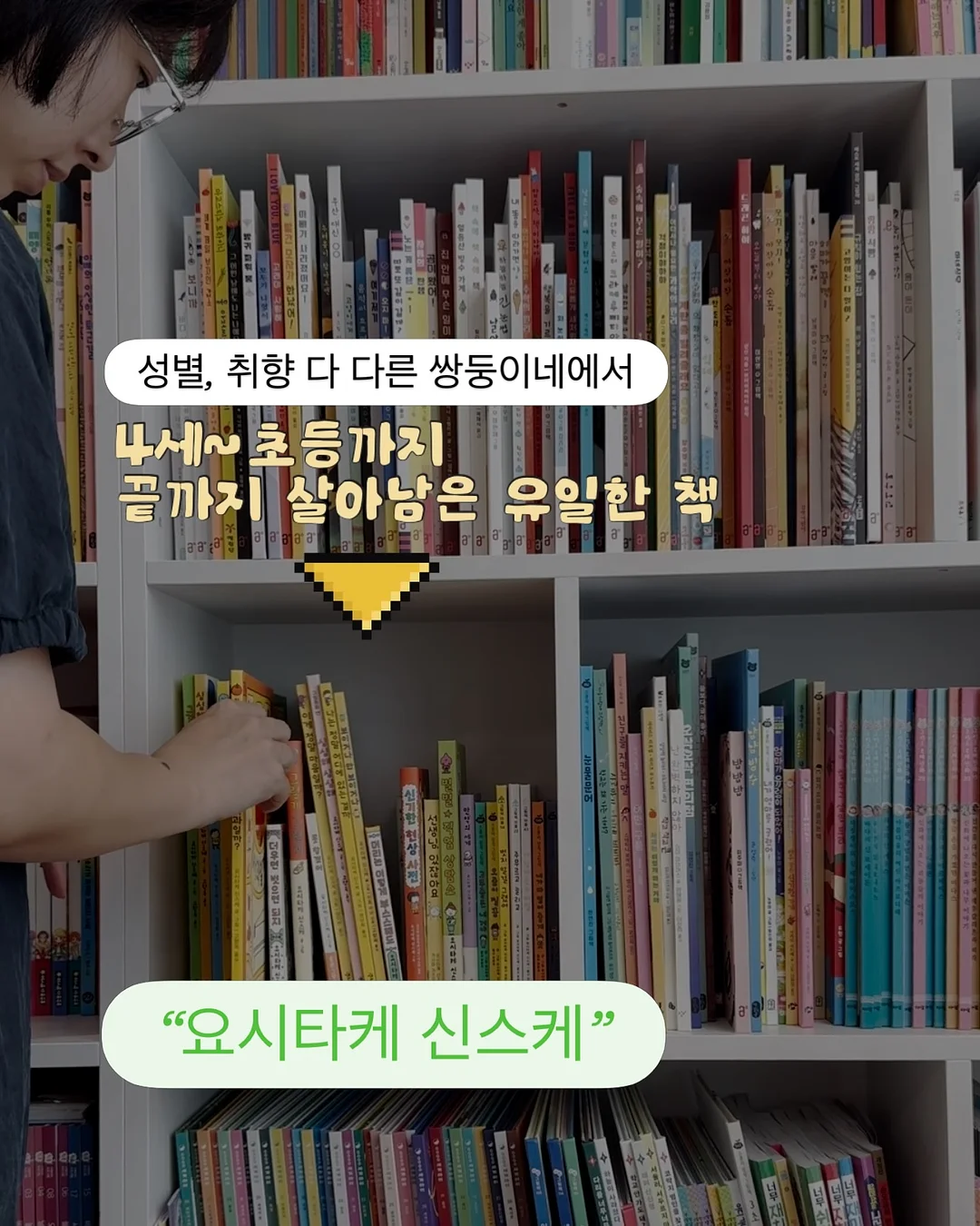 실리스카 쉘 밤 2
