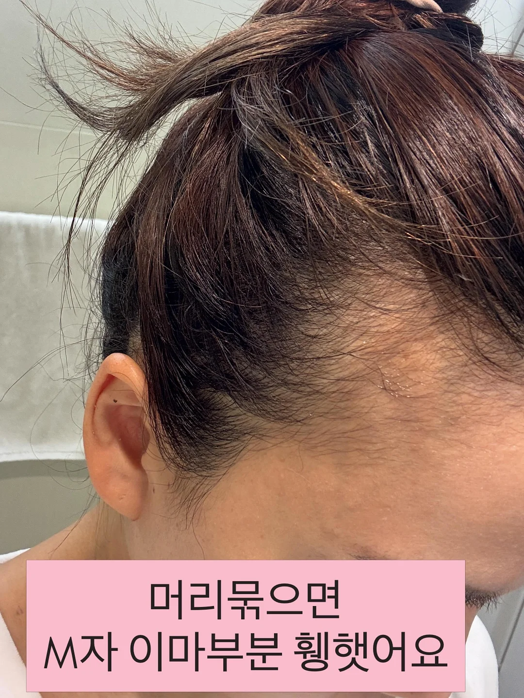 전갱이 3