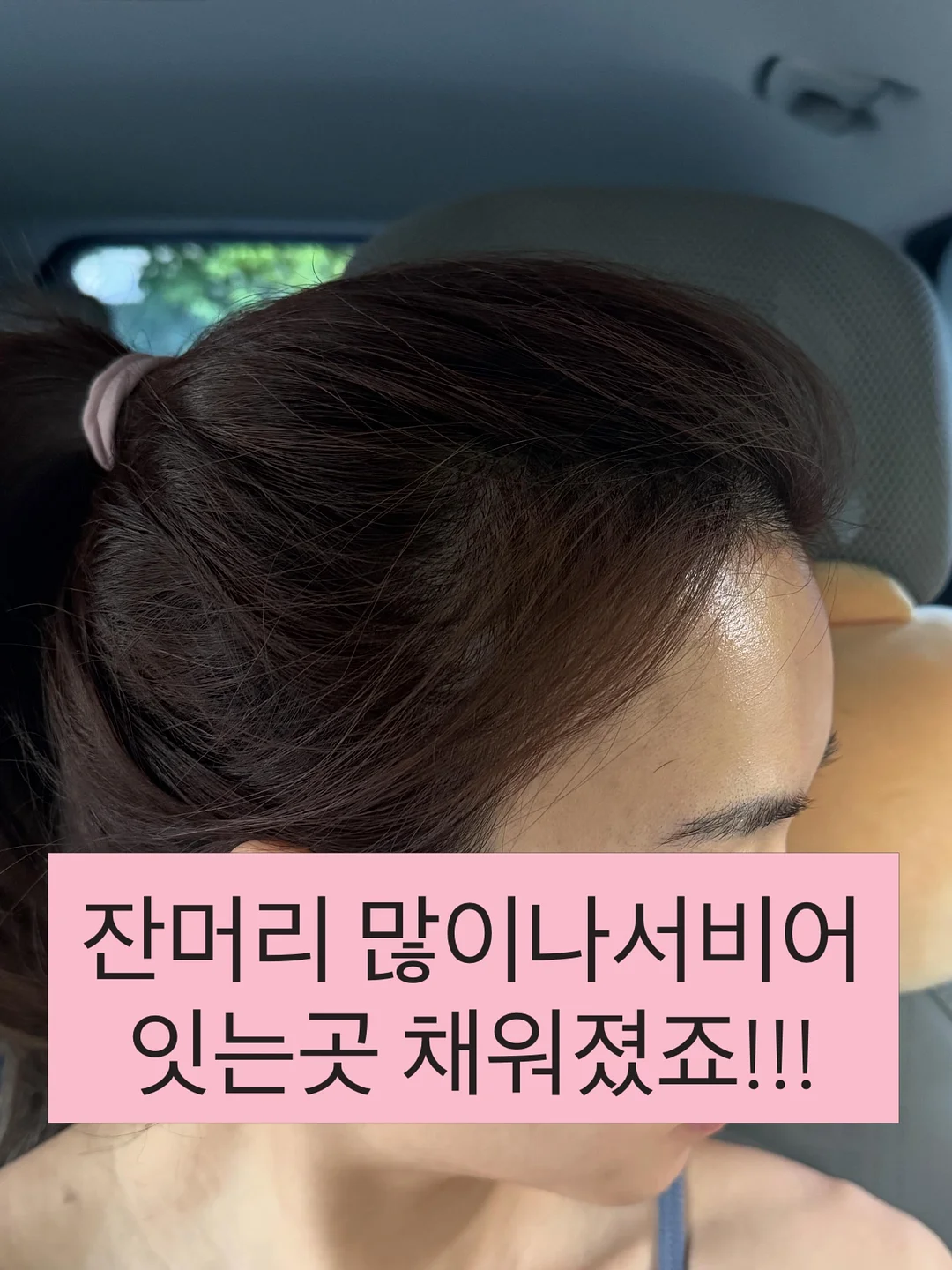 전갱이 4