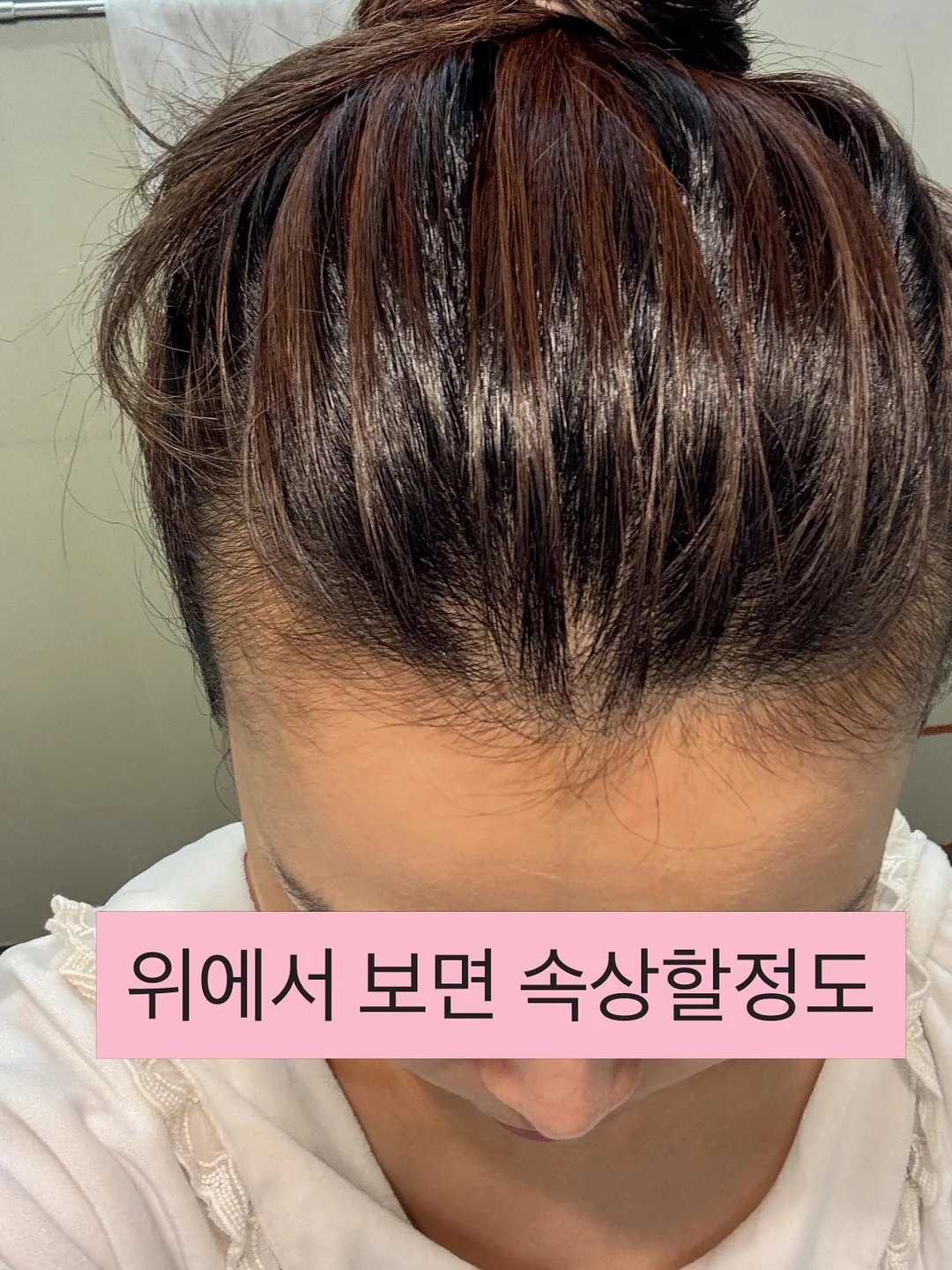 전갱이 5