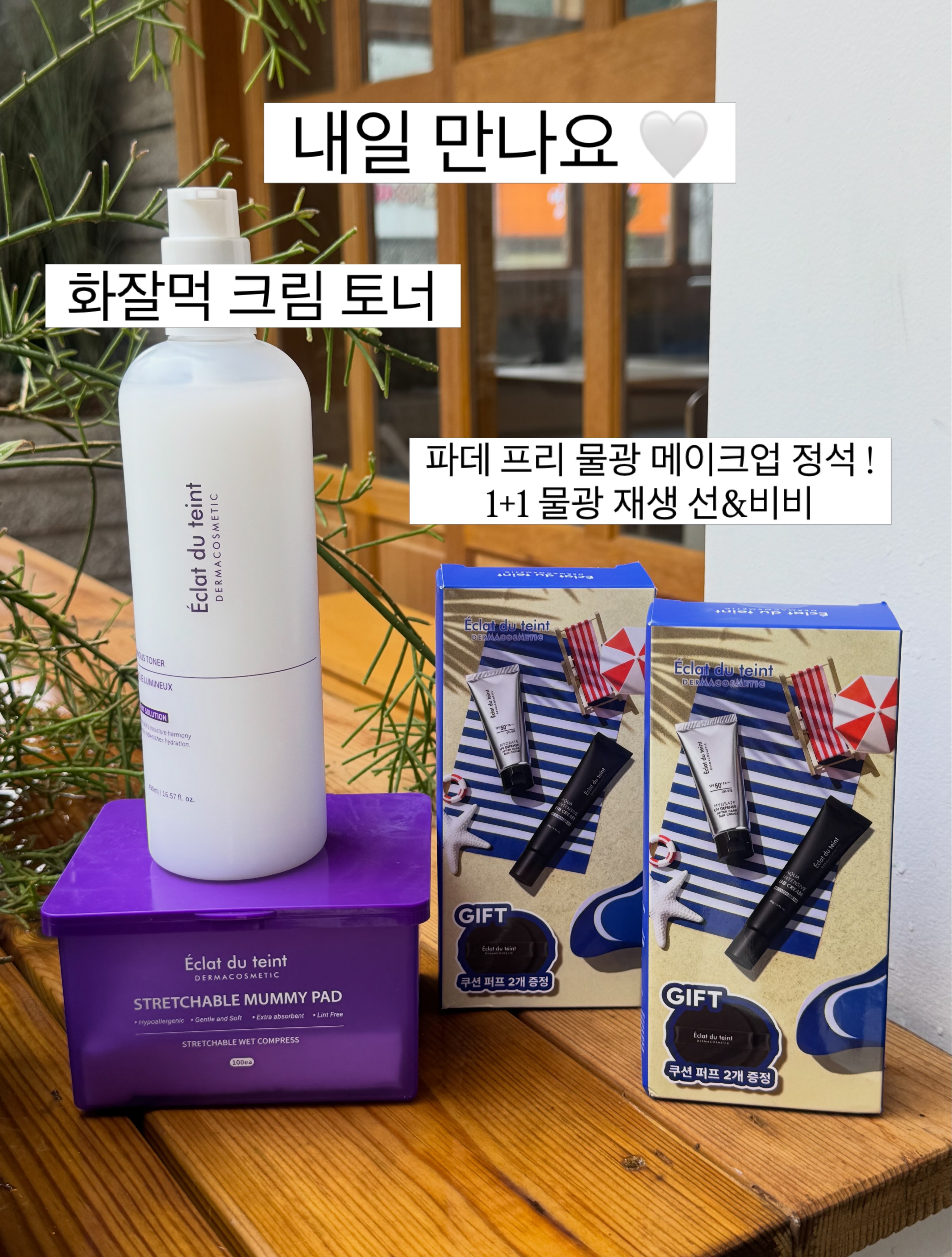 카네이션 1