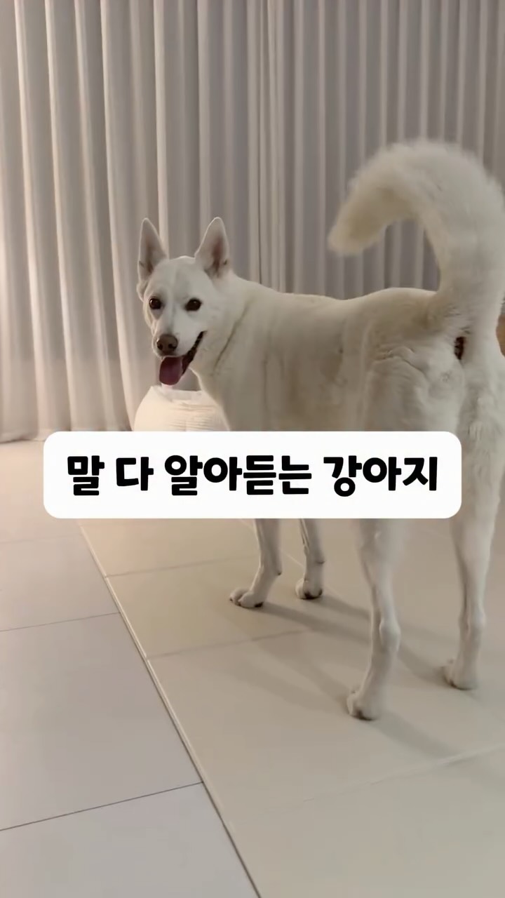폴로 플로럴 그래픽 저지 긴팔티