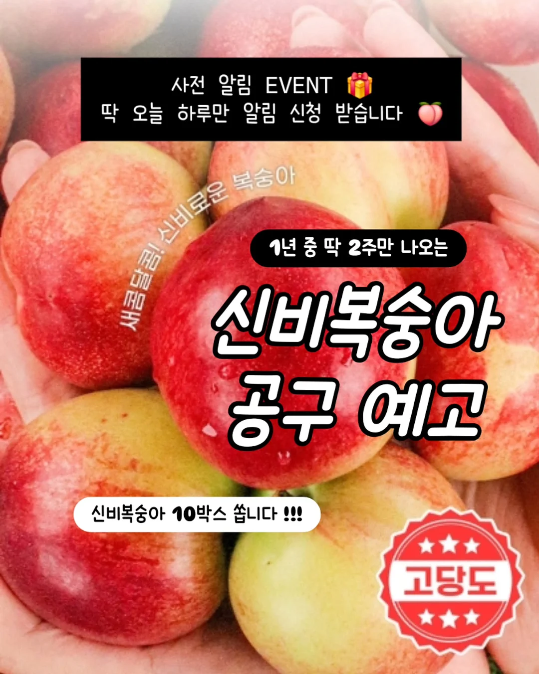 레이어드원피스 1