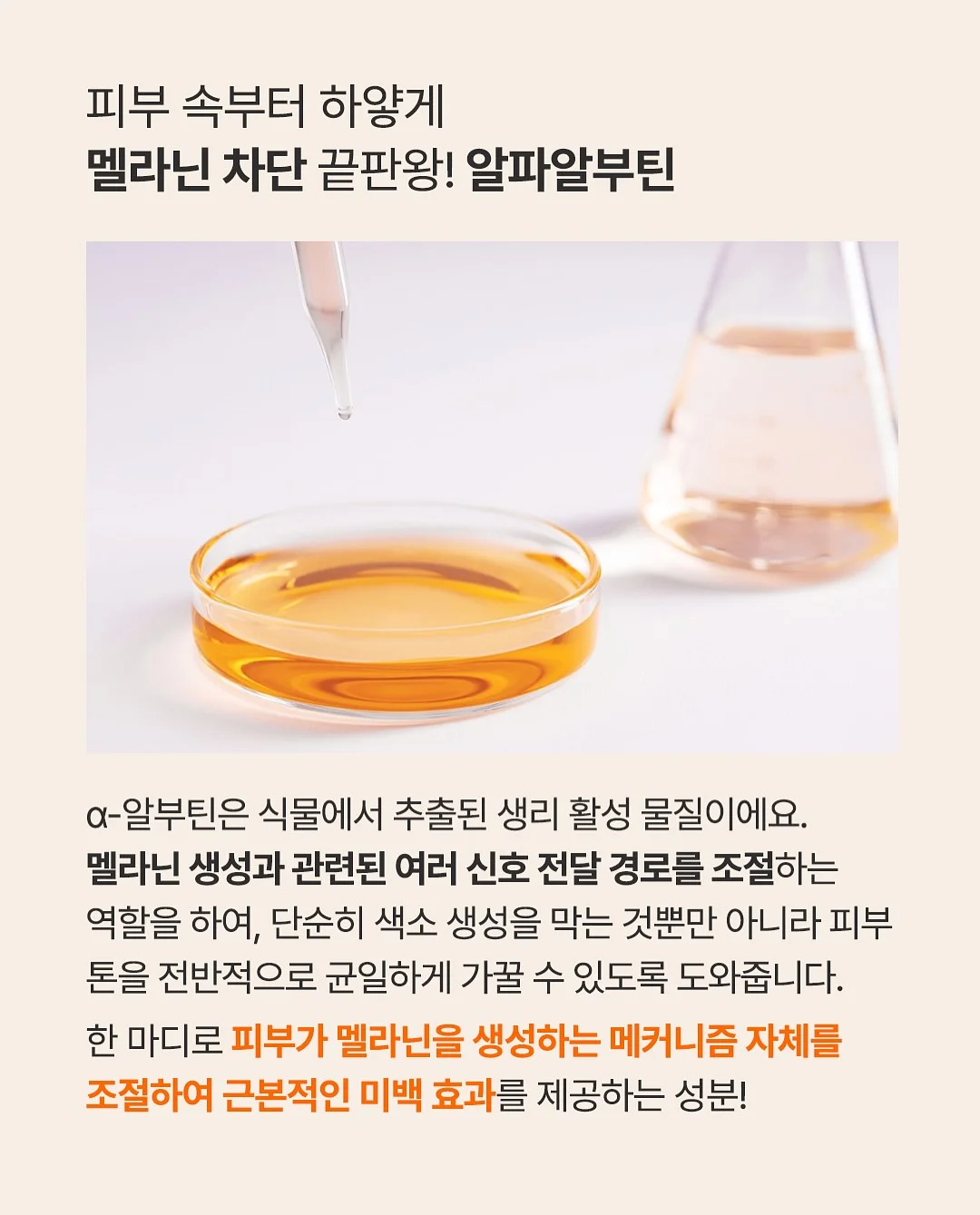 원서루틴 2기 6