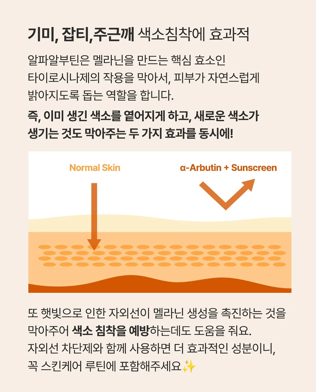 원서루틴 2기 7