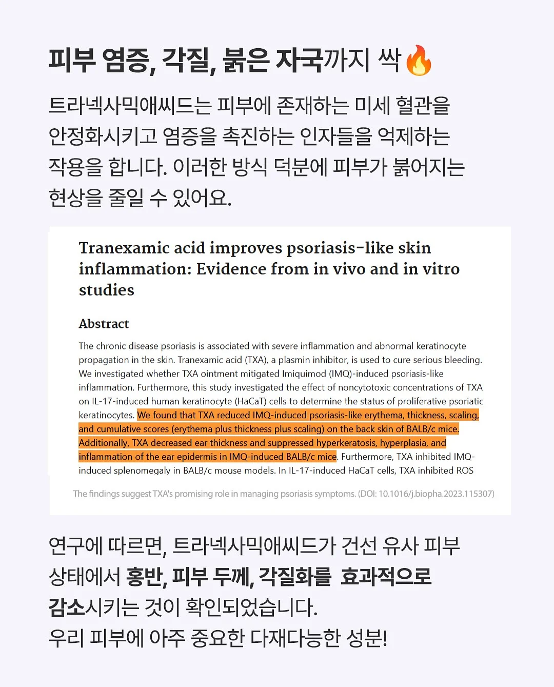 원서루틴 2기 9