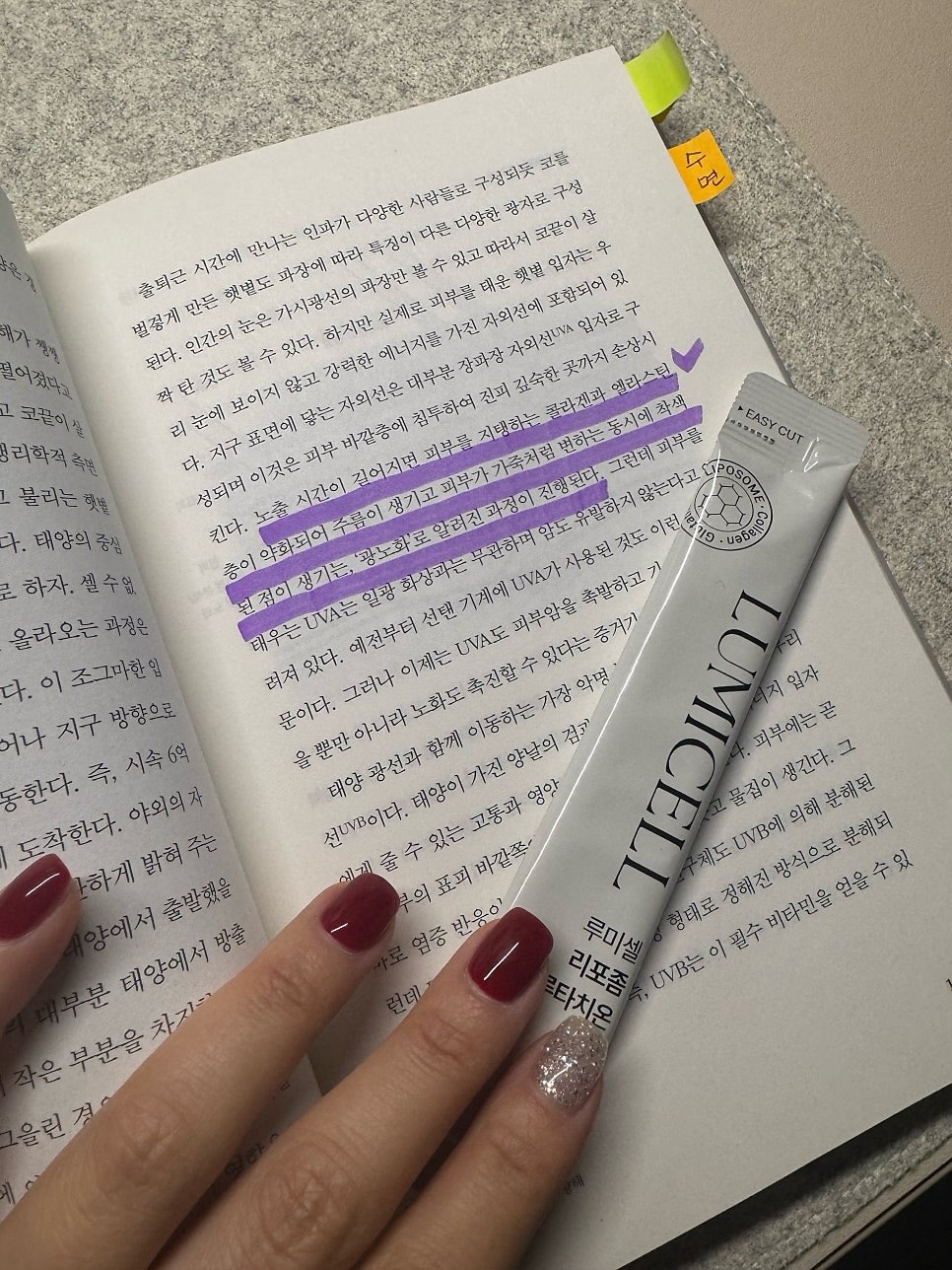 무무 파티 일정 8