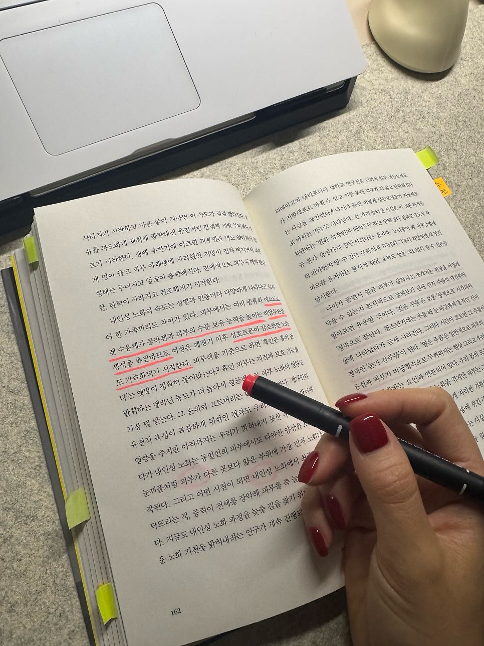 무무 파티 일정 9