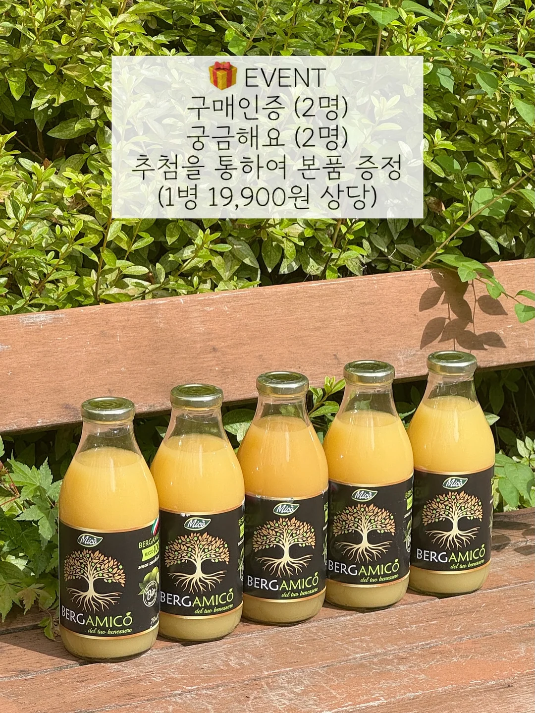 파데프리 3종 + 물광미스트 11