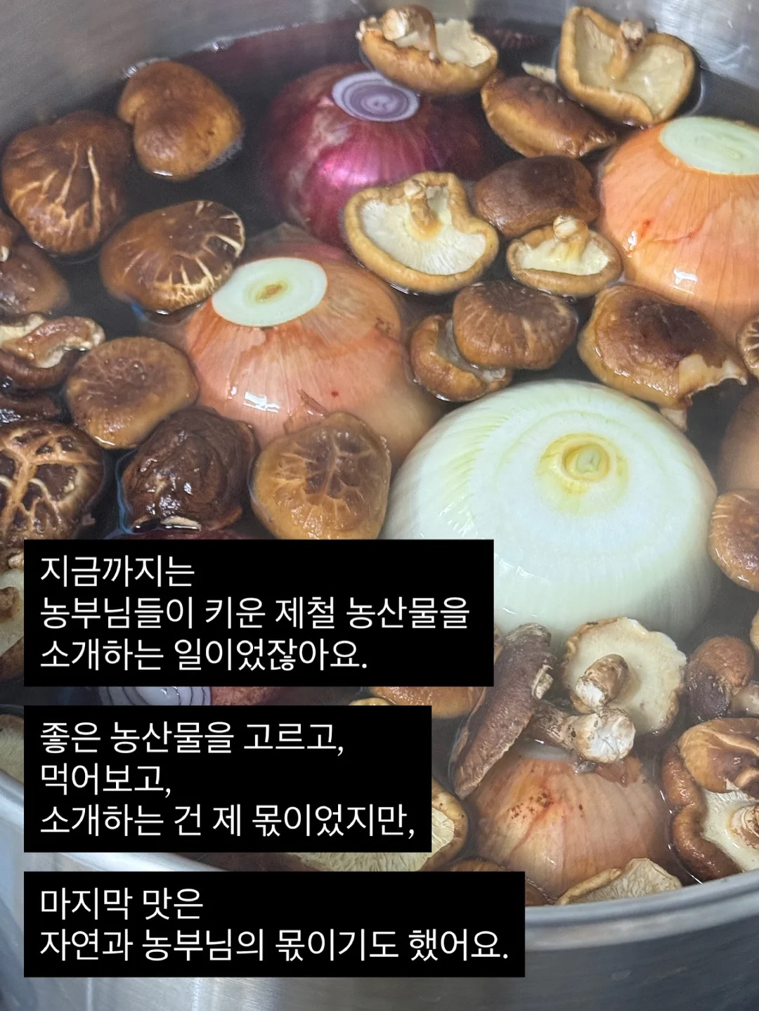 후에 당일투어 13