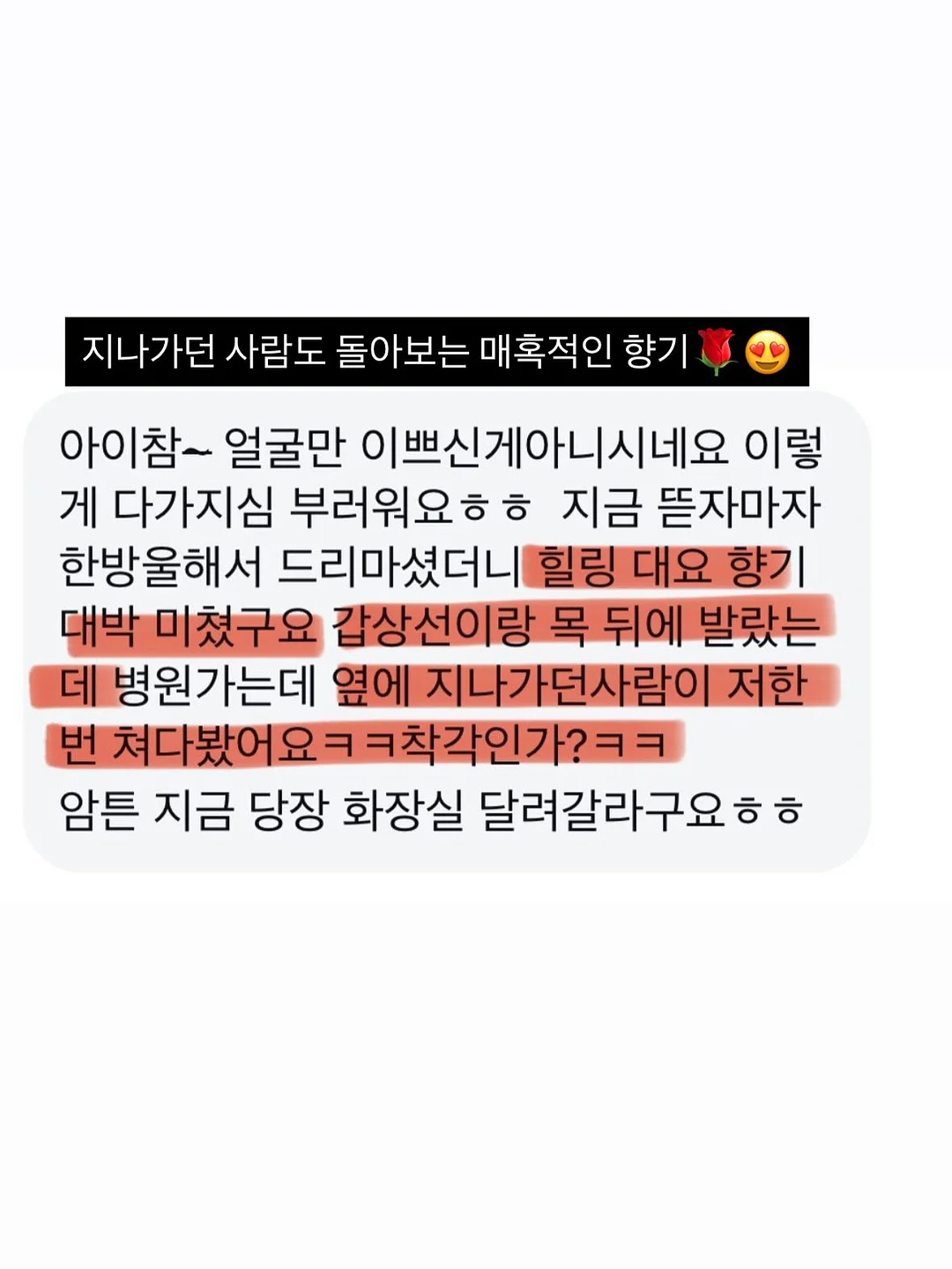 이유식 야채 소분 14
