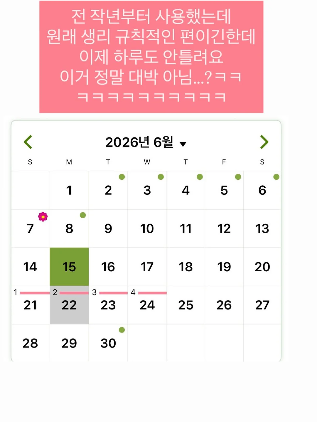 이유식 야채 소분 9