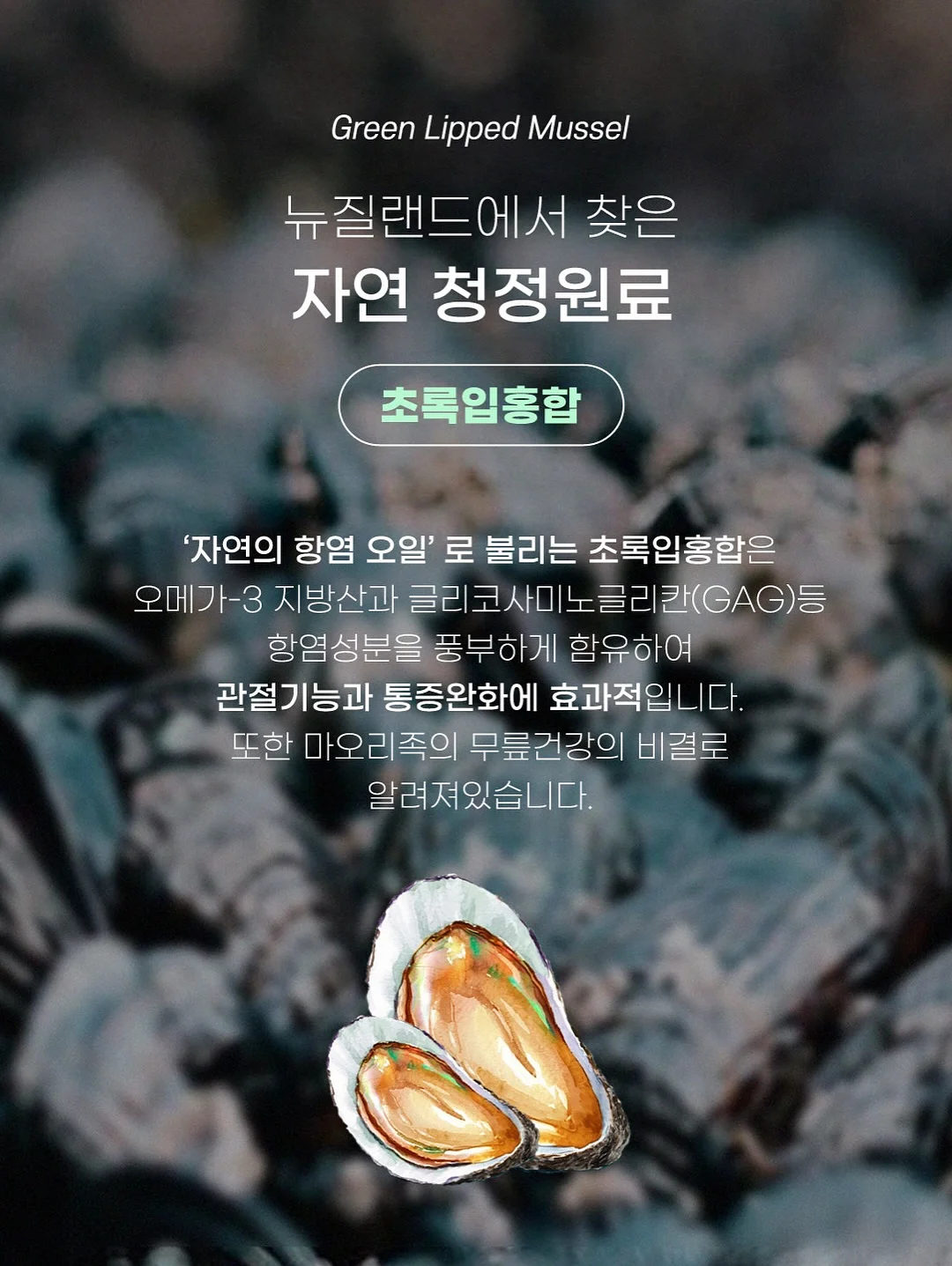 센텔리안24 마데카 앰플 푸린 에디션 8