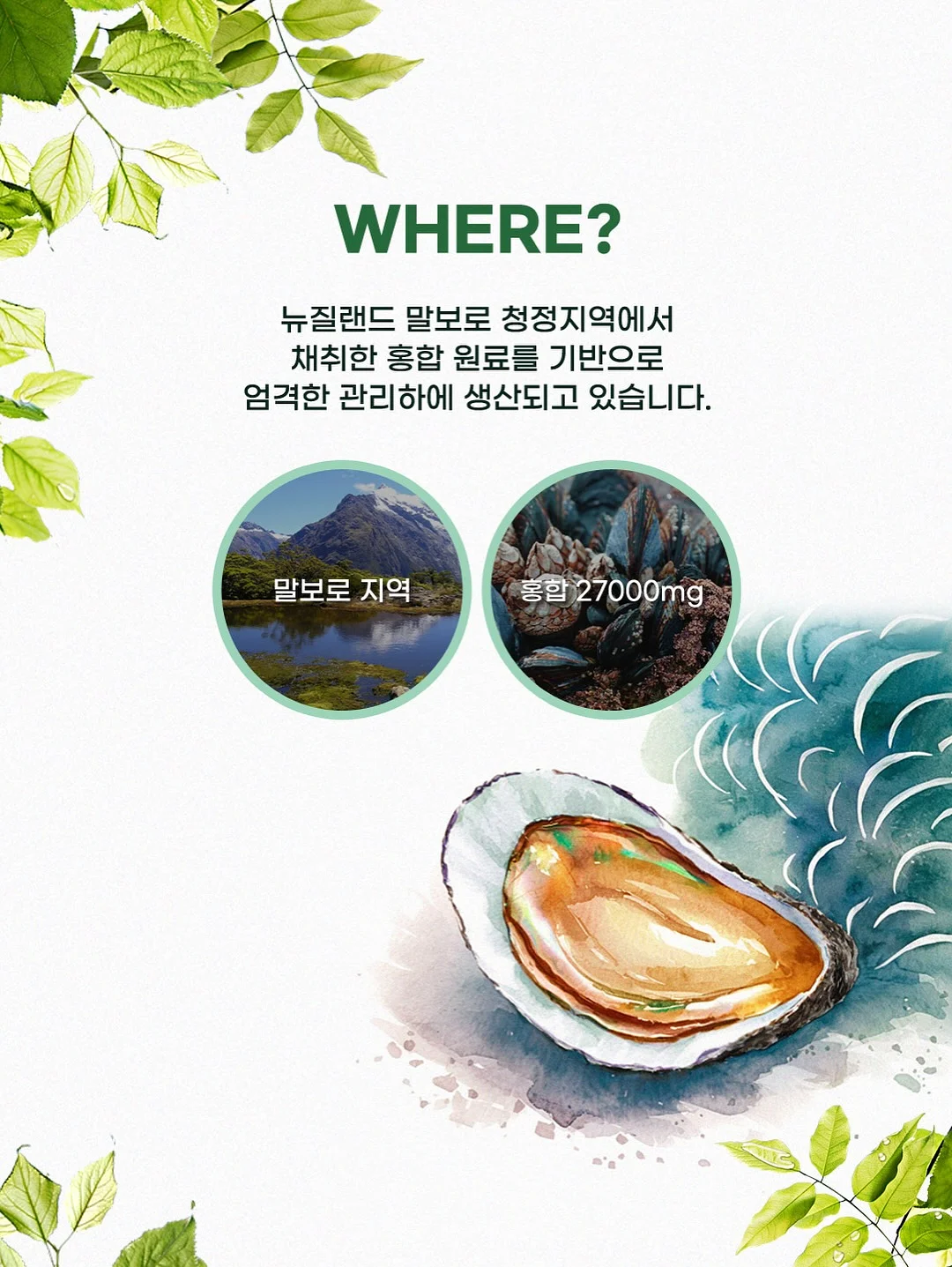 센텔리안24 마데카 앰플 푸린 에디션 10