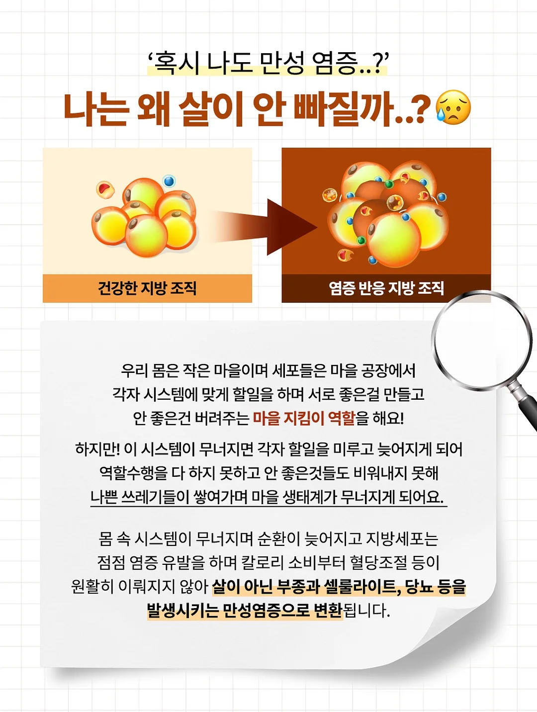 차량용 매트 14