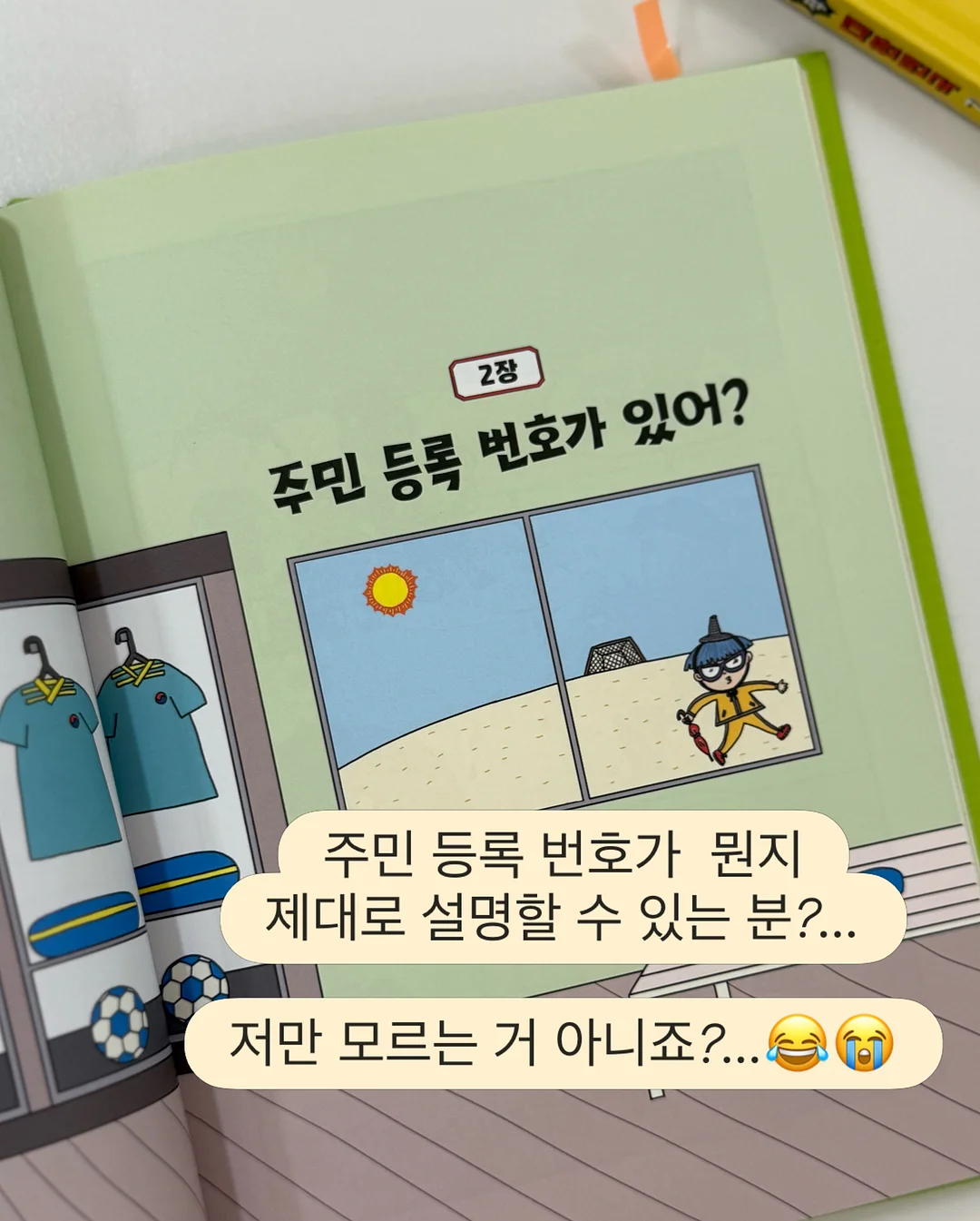매실청 레시피 13