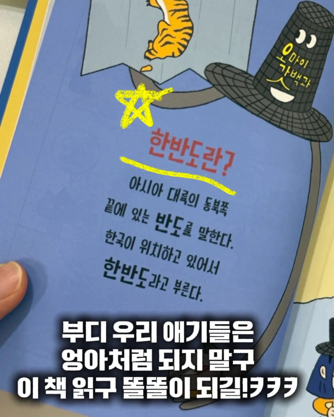 매실청 레시피 4