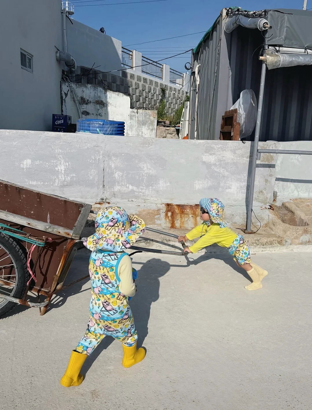 바나바잎추출물 건강기능식품 1
