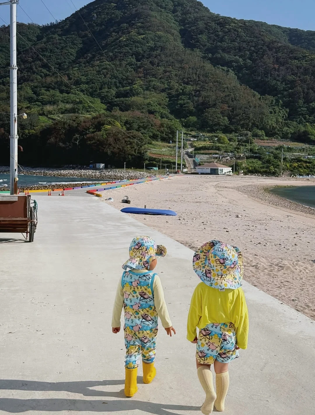 바나바잎추출물 건강기능식품 2