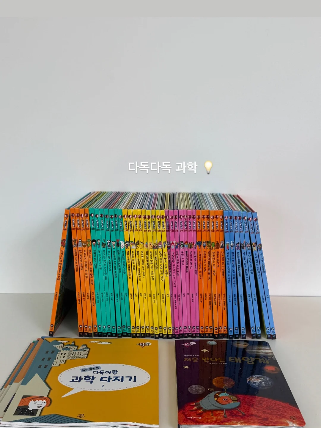 올리브나무 1