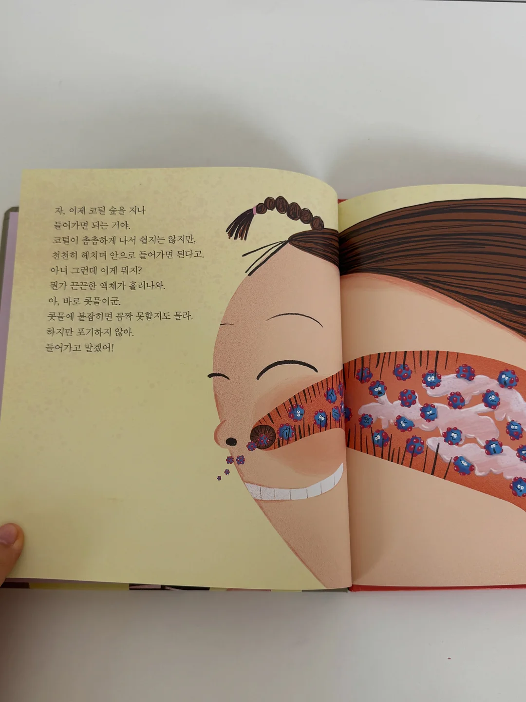 올리브나무 18