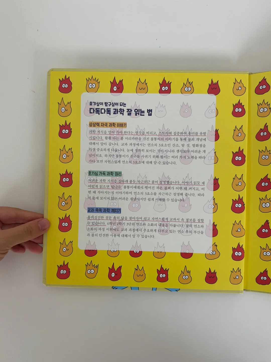 올리브나무 19