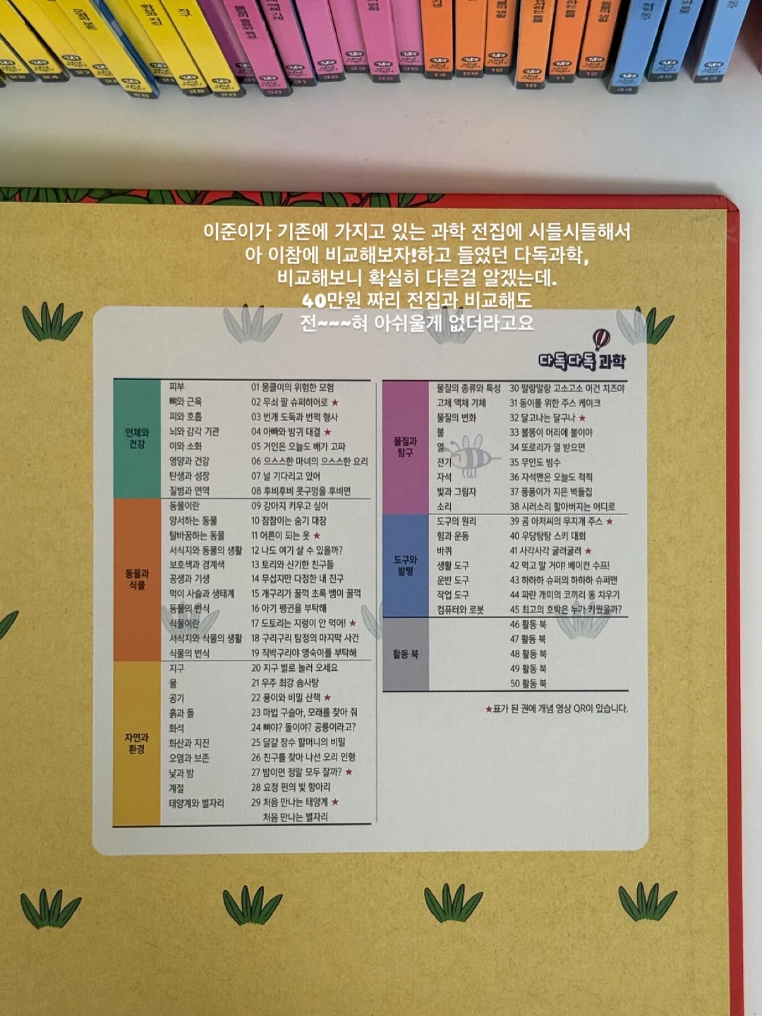 올리브나무 2