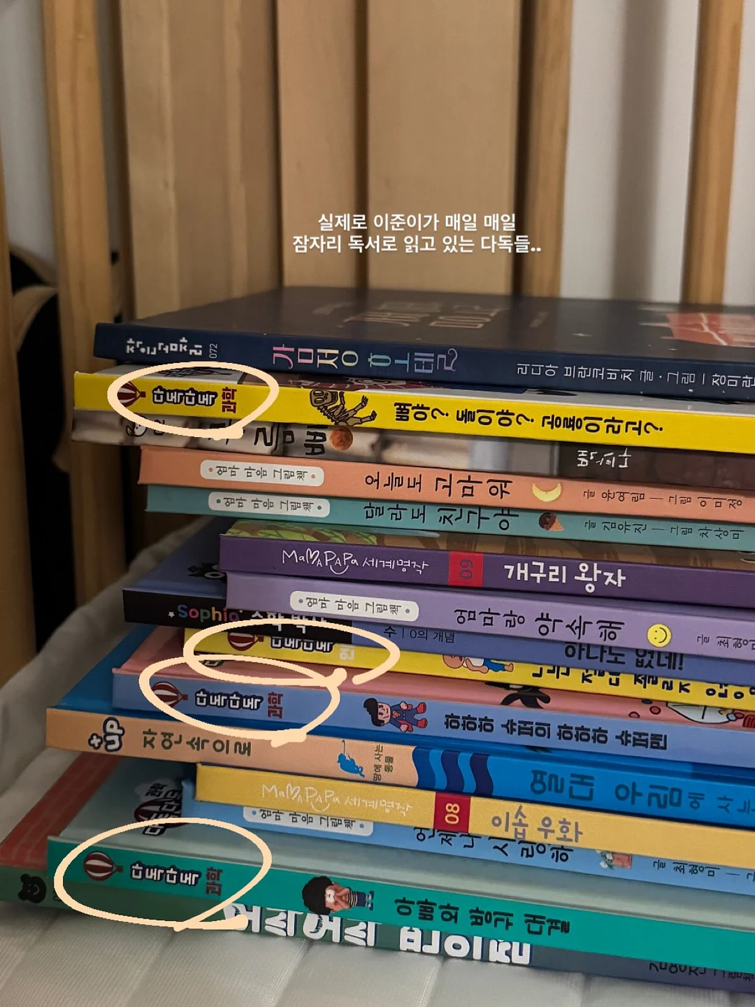 올리브나무 3