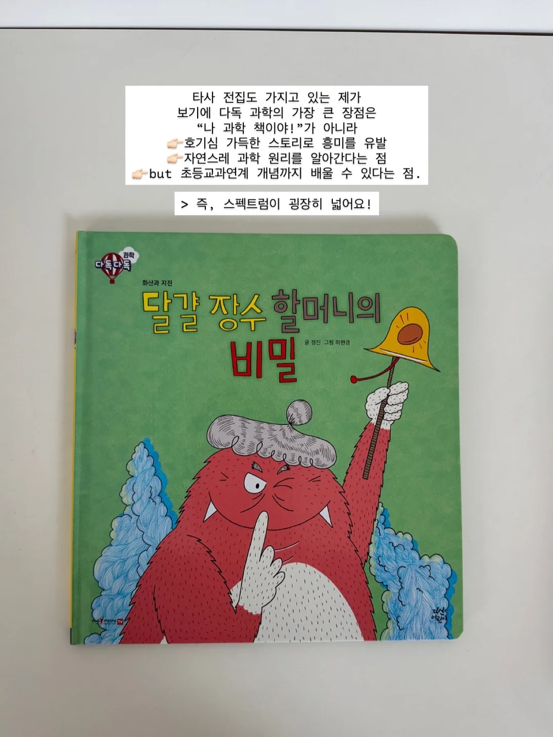 올리브나무 5