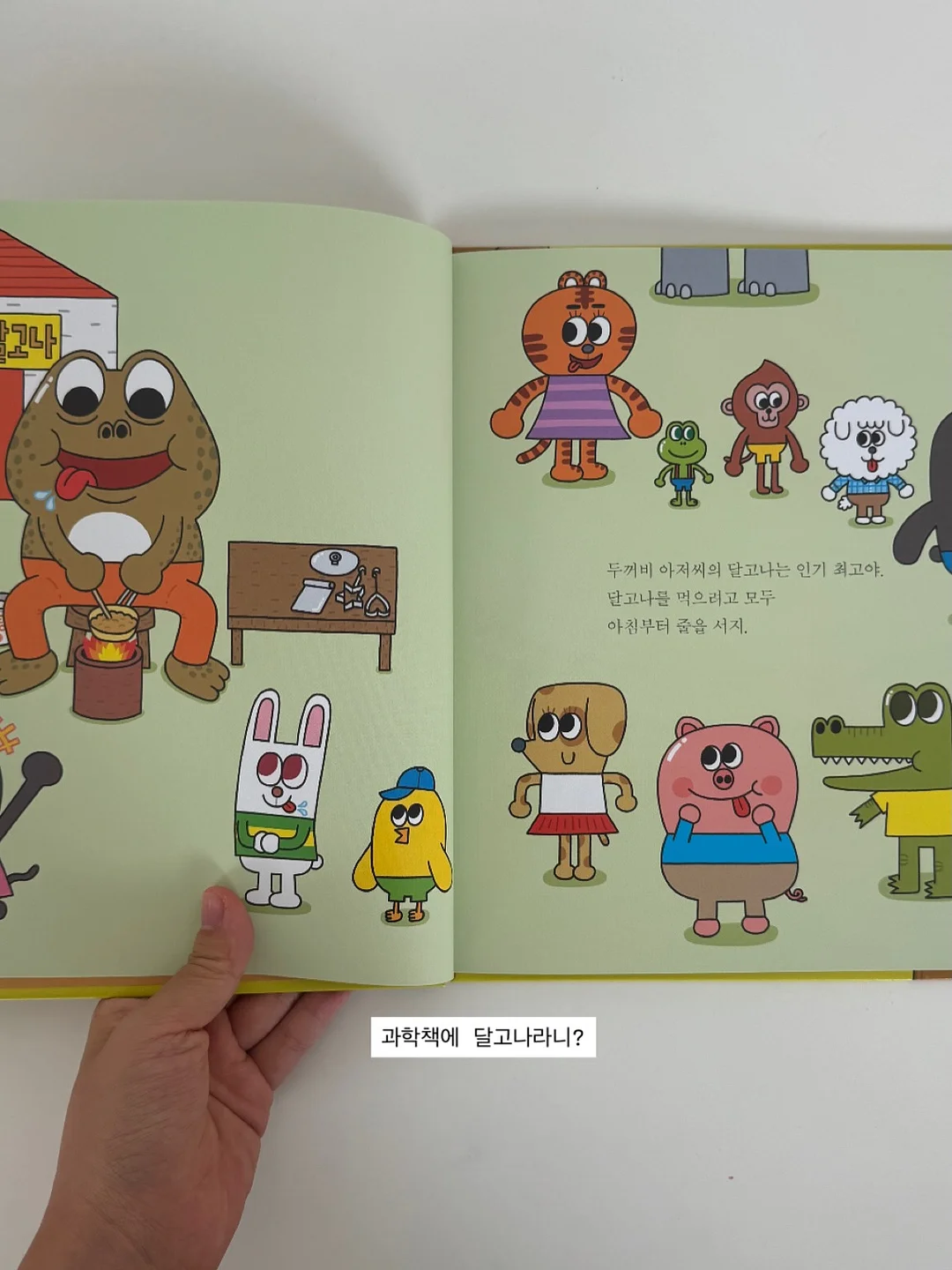 올리브나무 6