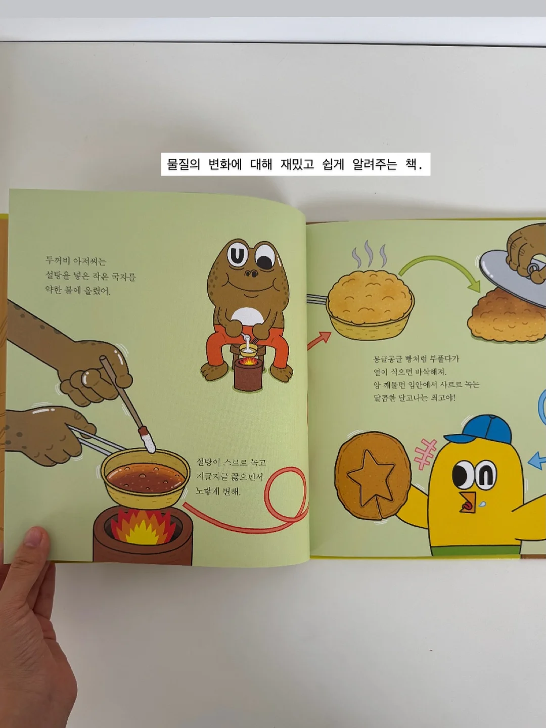 올리브나무 7