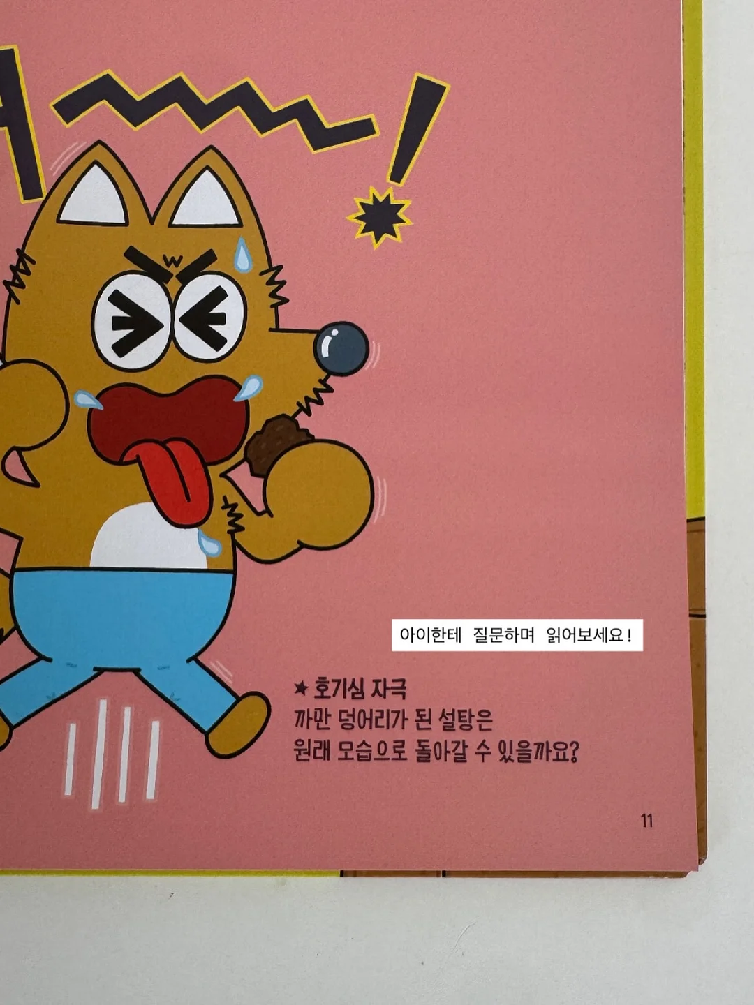 올리브나무 8