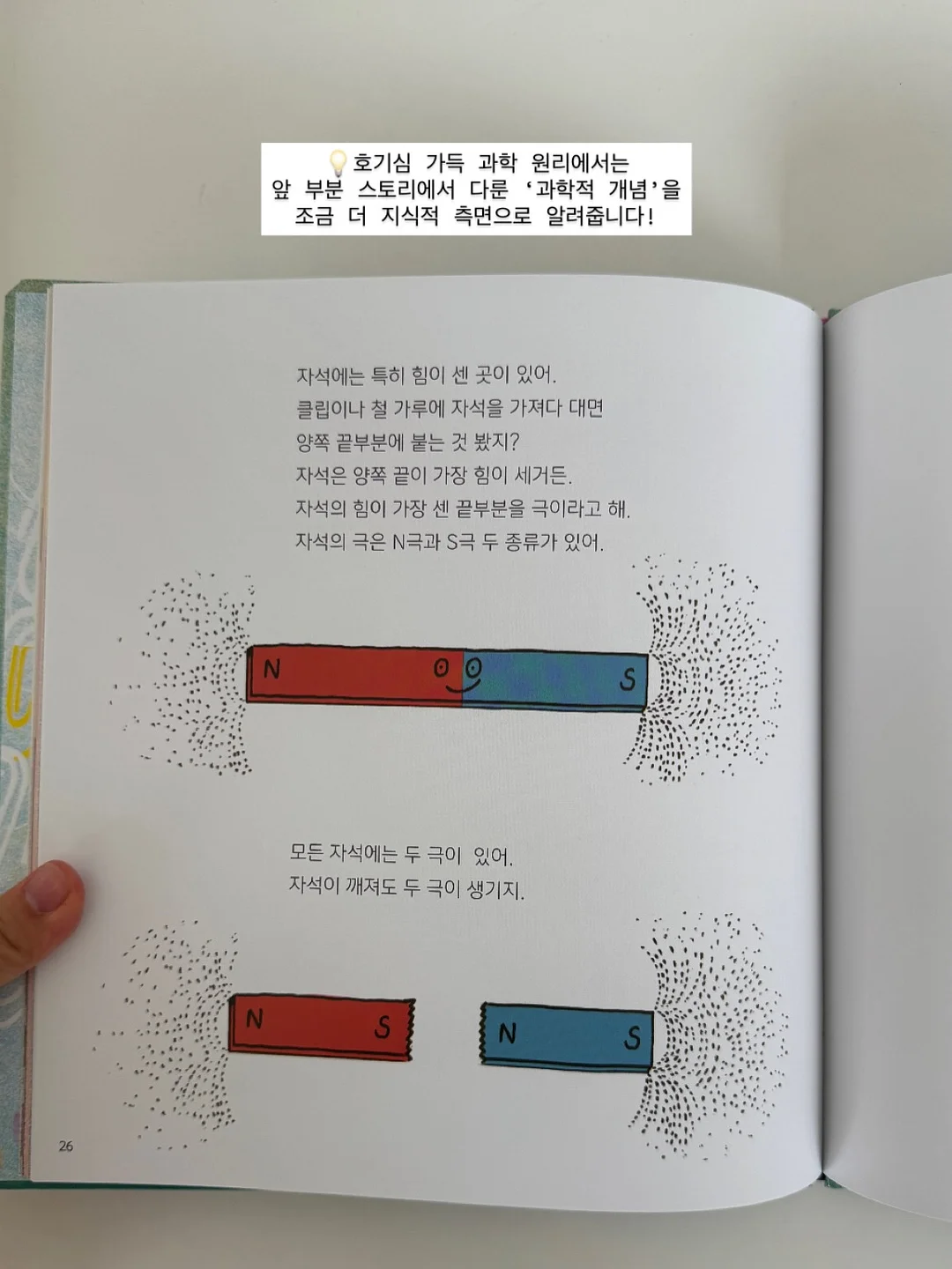 올리브나무 10