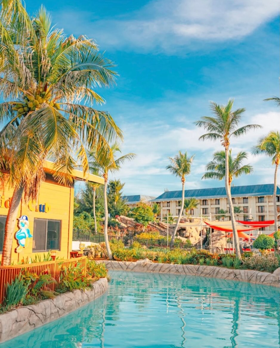 사과 당근빵 10