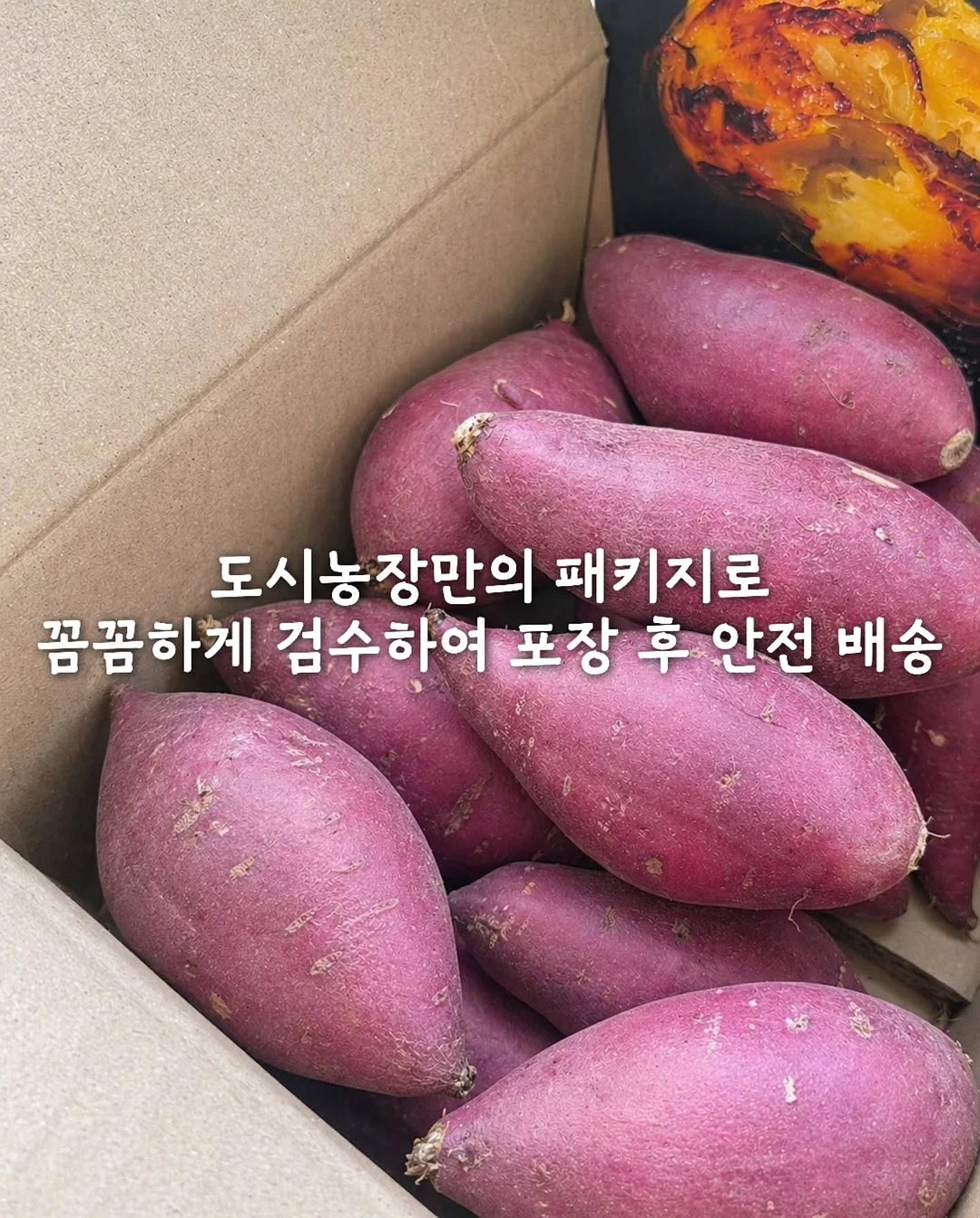 데일리백 11
